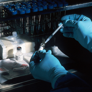 Why Can't We Genetically Test Eggs?