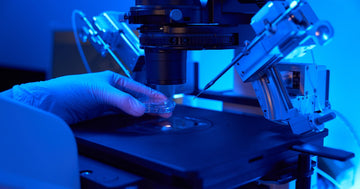 Preimplantation Genetic Testing